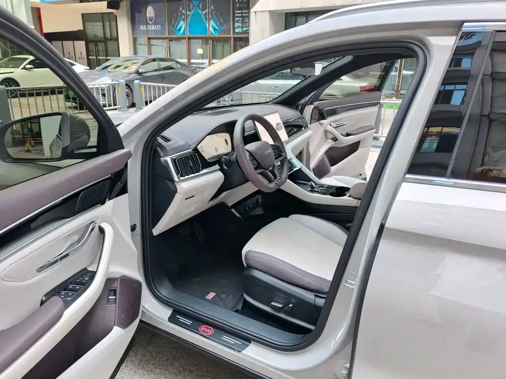 BYD PLUS New Energy — фото 8