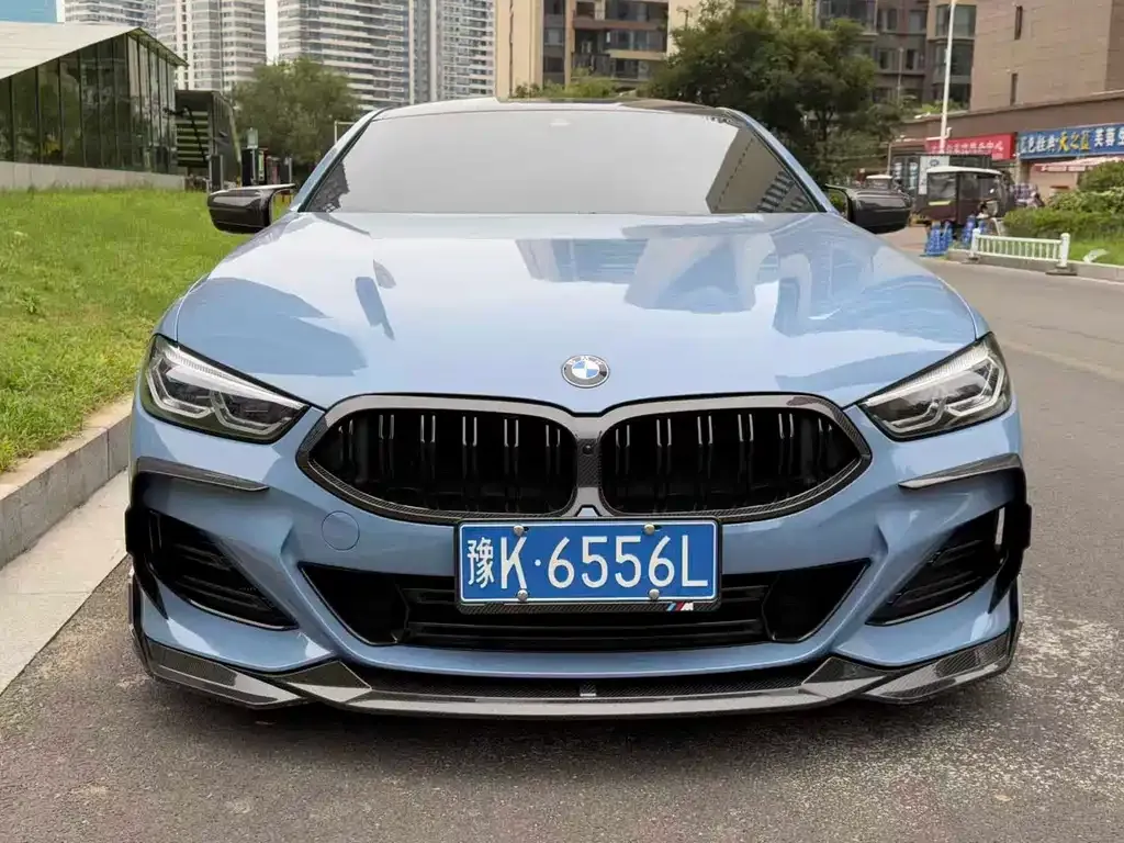 BMW 8 Series — фото 9