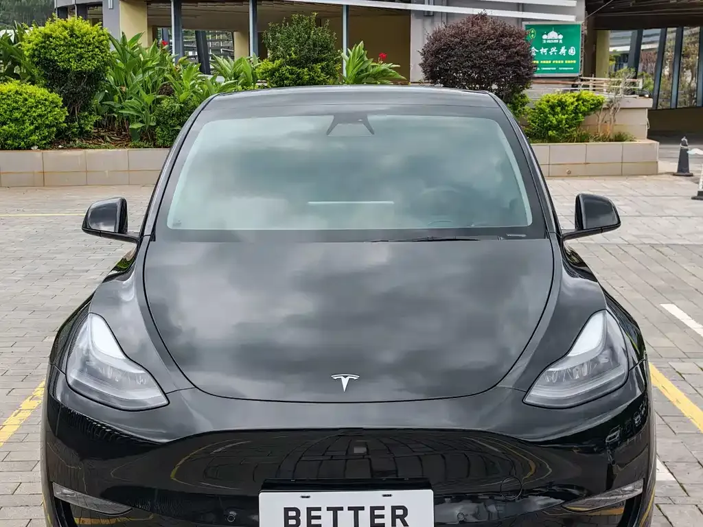 Tesla Model Y — фото 10