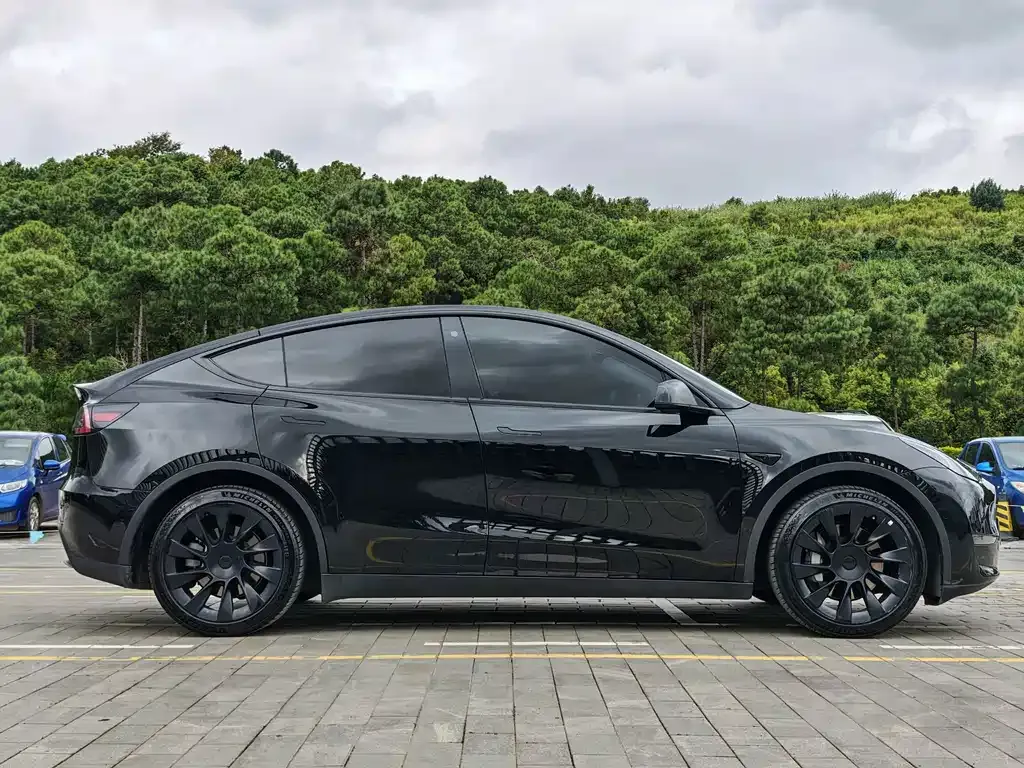 Tesla Model Y — фото 9