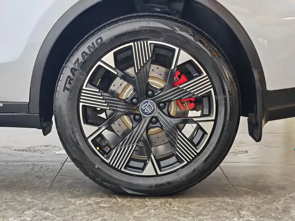BYD Tang New Energy — фото 8