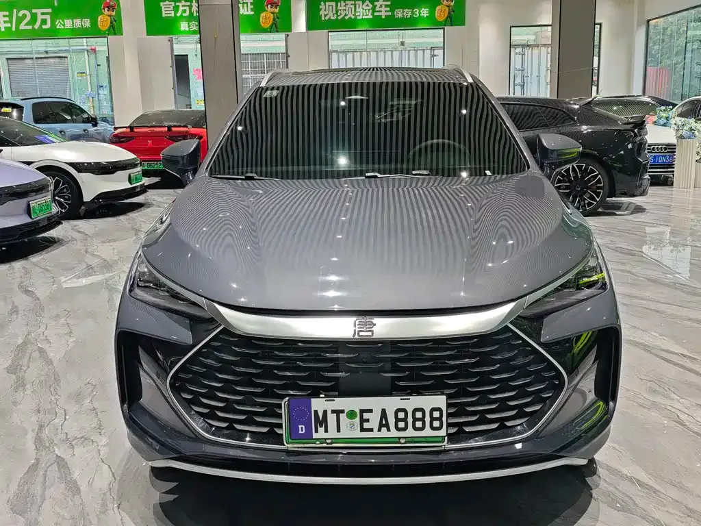 BYD Tang New Energy — фото 10
