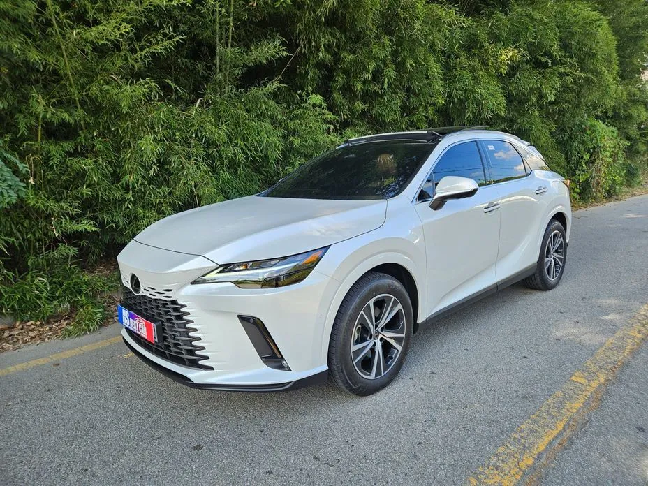 Lexus RX — фото 1
