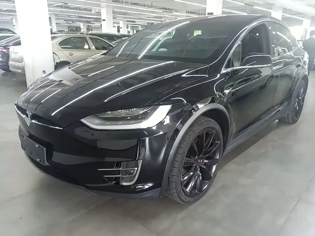 Tesla Model X — фото 9