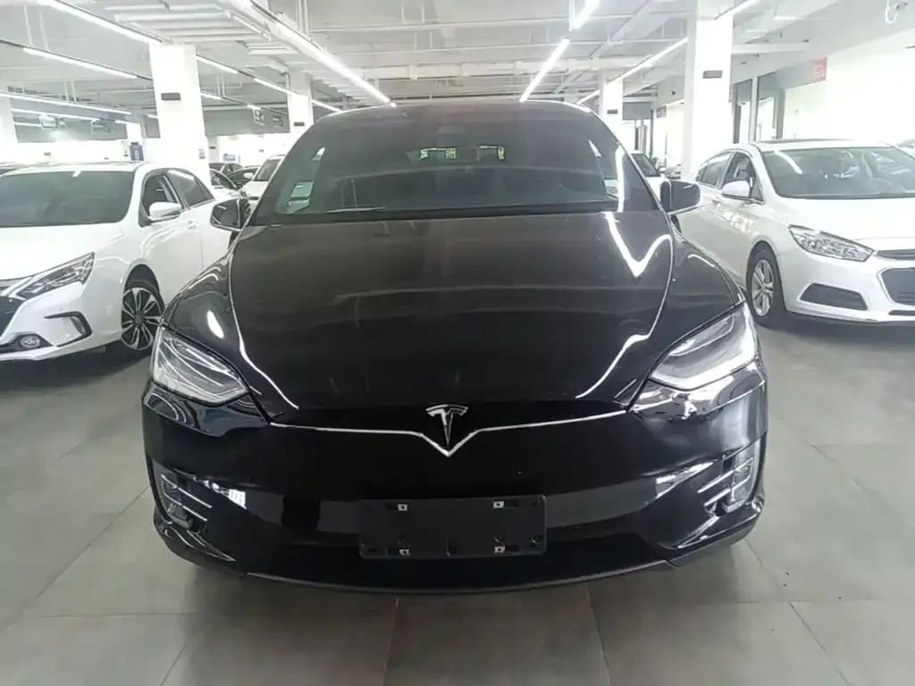 Tesla Model X — фото 8