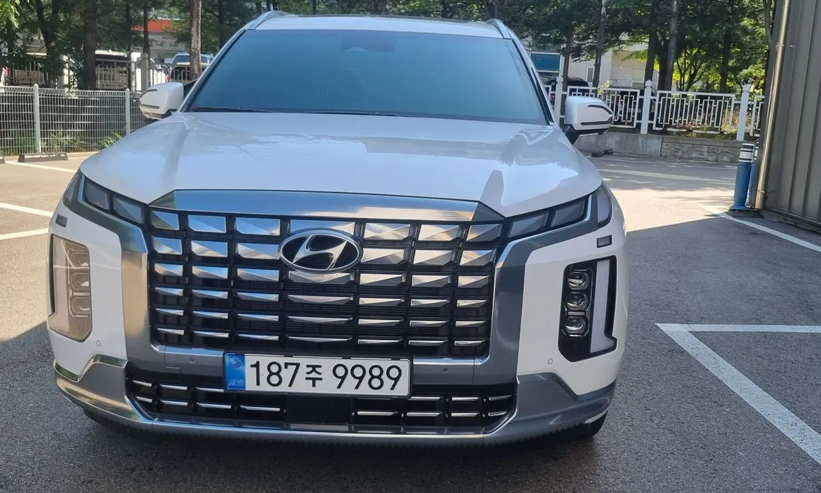 Hyundai Palisade — фото 1