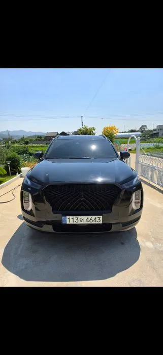 Hyundai Palisade — фото 1