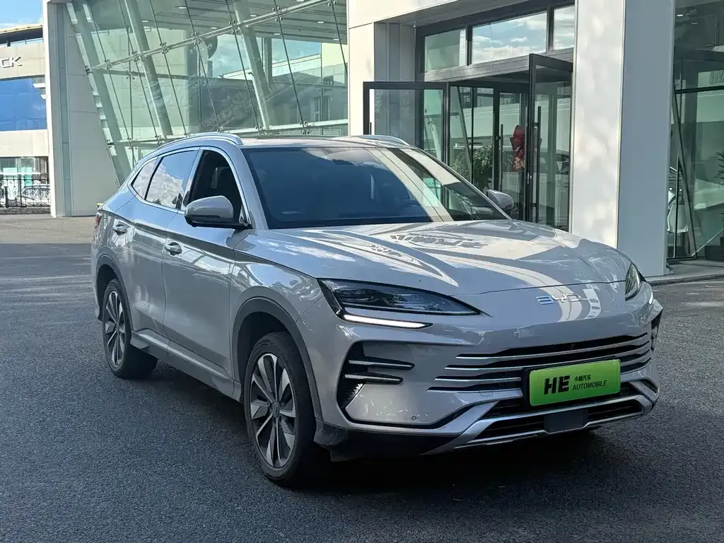 BYD PLUS New Energy — фото 3