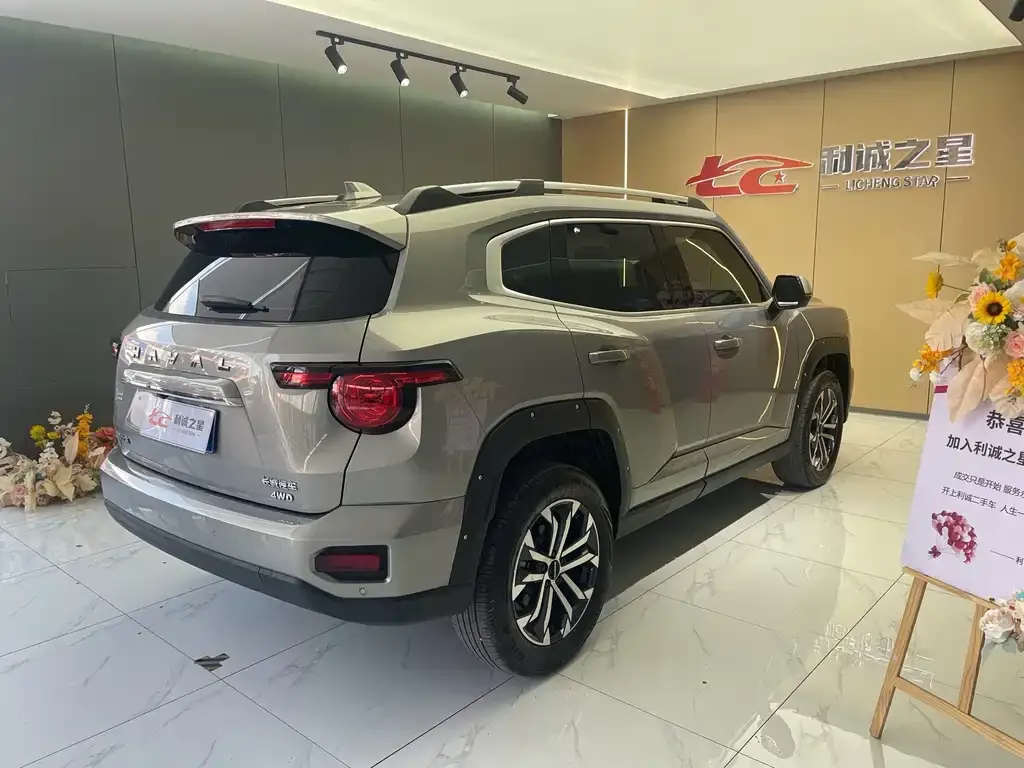 Haval Big Dog PLUS — фото 7