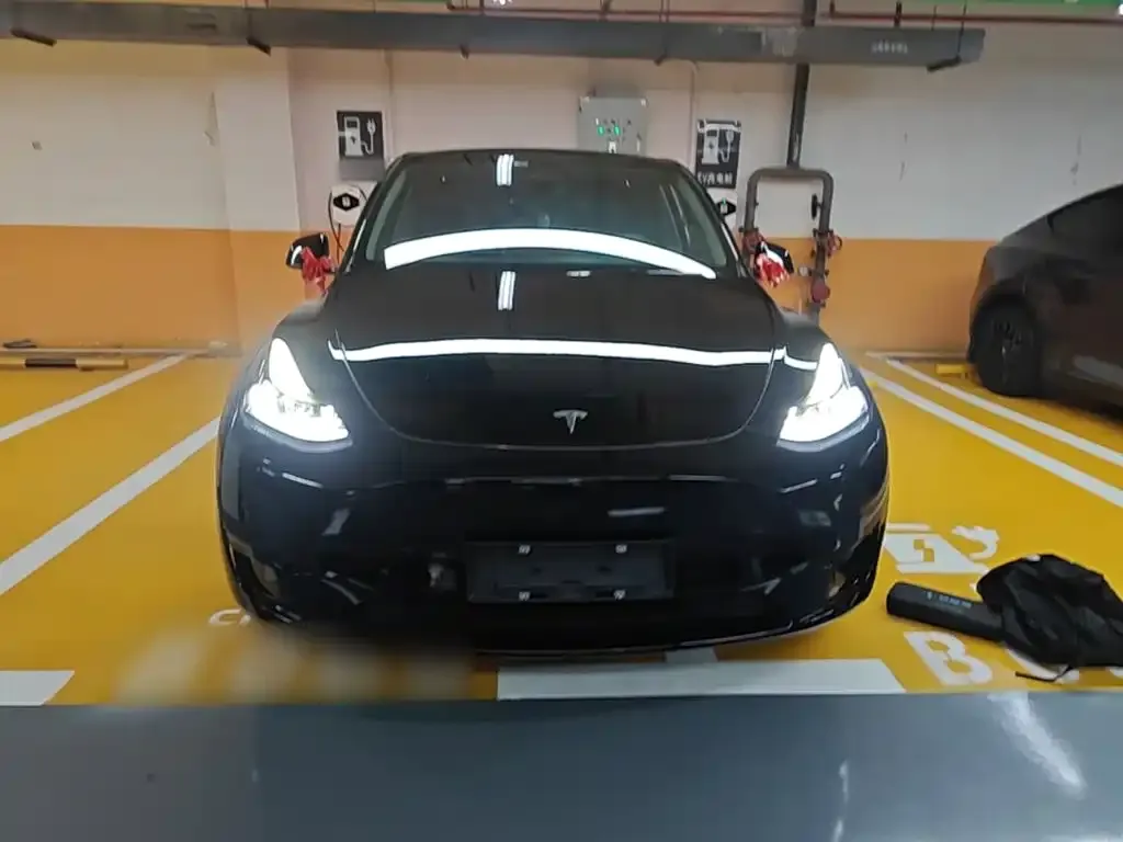 Tesla Model Y — фото 2