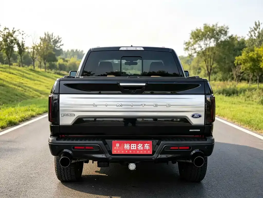 Ford F-150 Raptor — фото 8