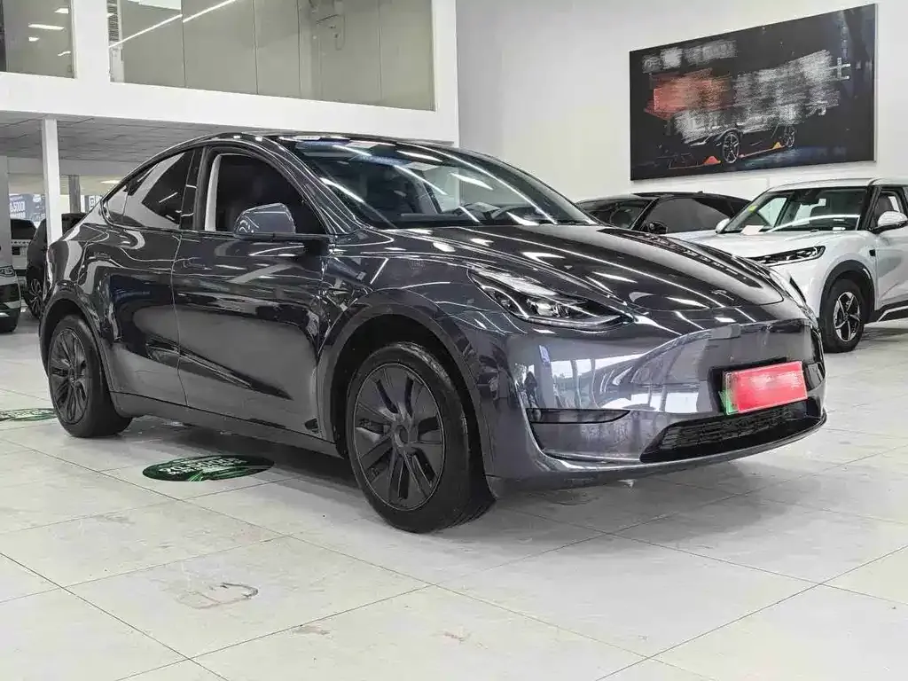 Tesla Model Y — фото 4