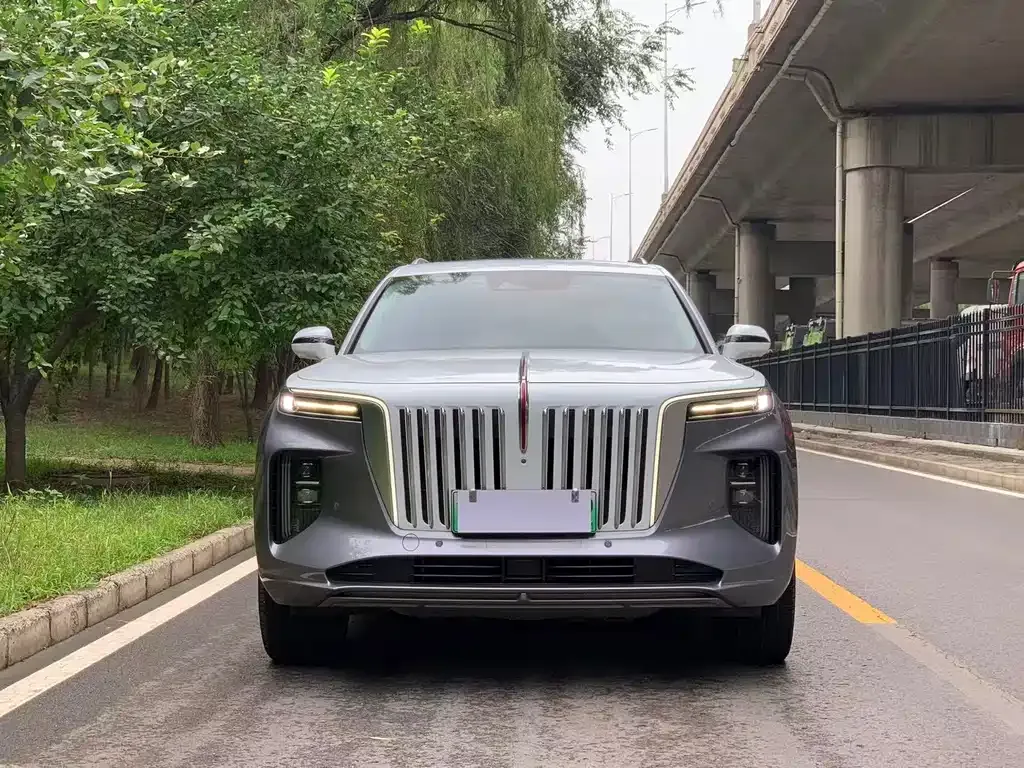 Hongqi E-HS9 — фото 9