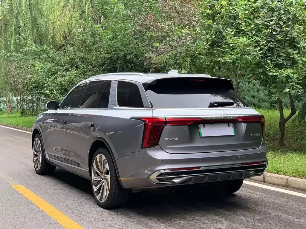 Hongqi E-HS9 — фото 10