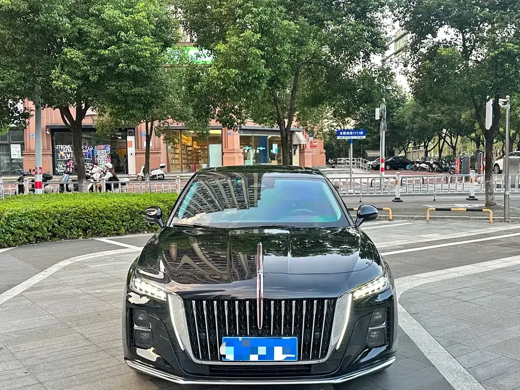 Hongqi H5 — фото 8