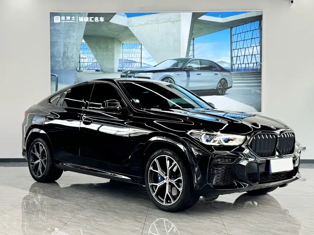 BMW X6 — фото 5