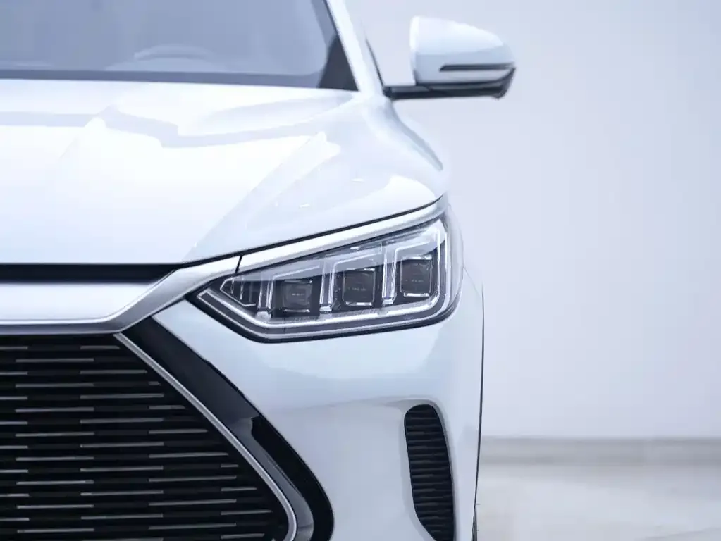 BYD PLUS New Energy — фото 2
