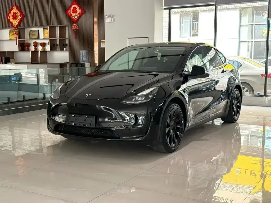 Tesla Model Y — фото 1