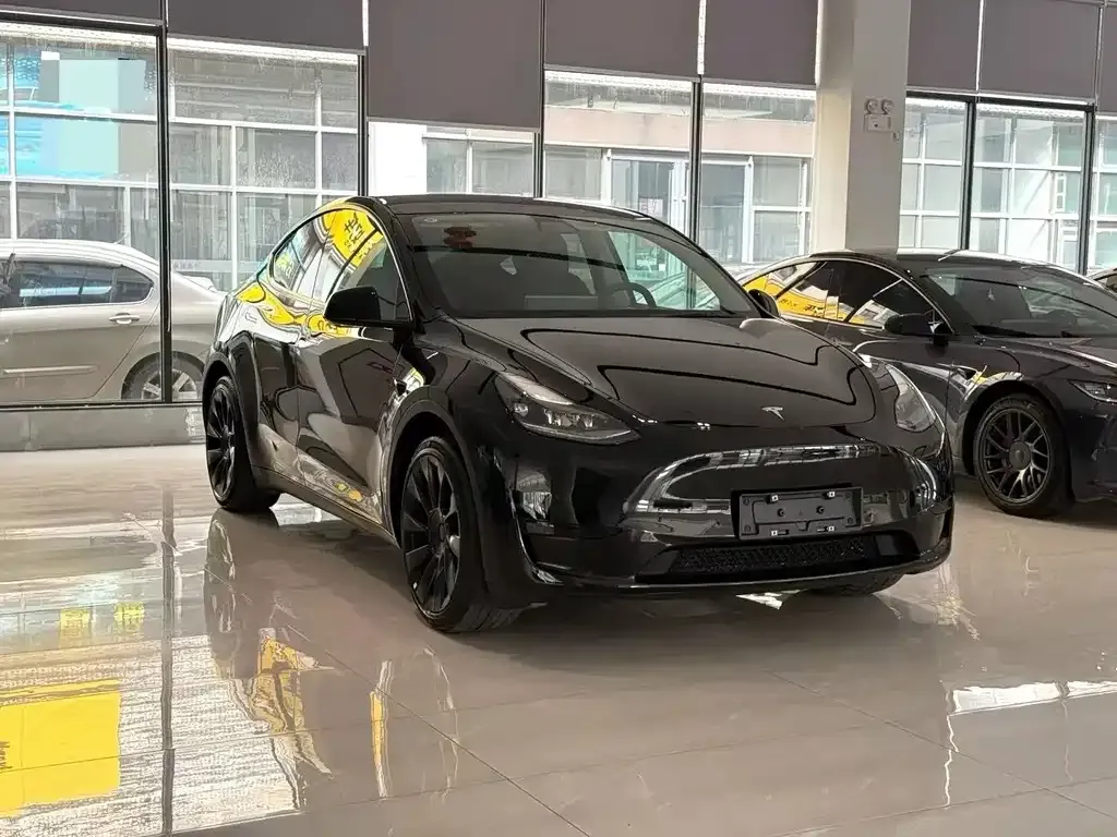 Tesla Model Y — фото 5