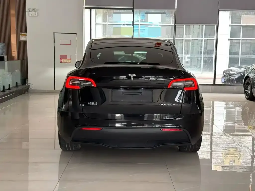 Tesla Model Y — фото 6