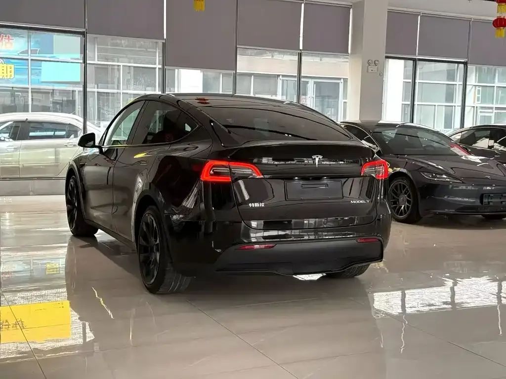 Tesla Model Y — фото 9