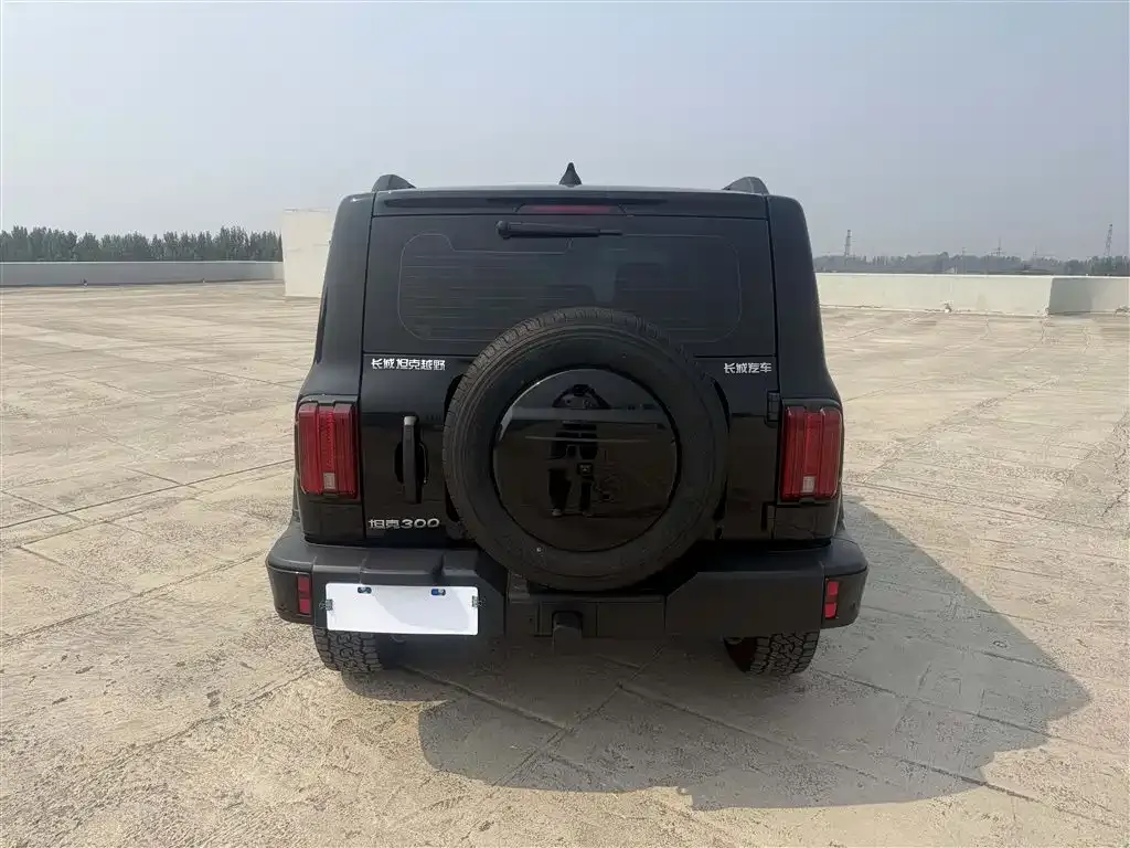 Tank 300 — фото 2