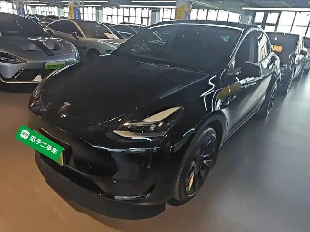 Tesla Model Y — фото 2