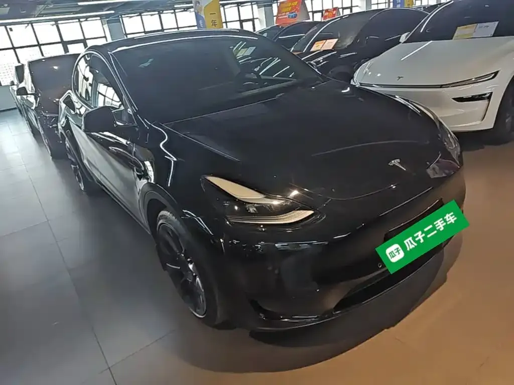 Tesla Model Y — фото 7