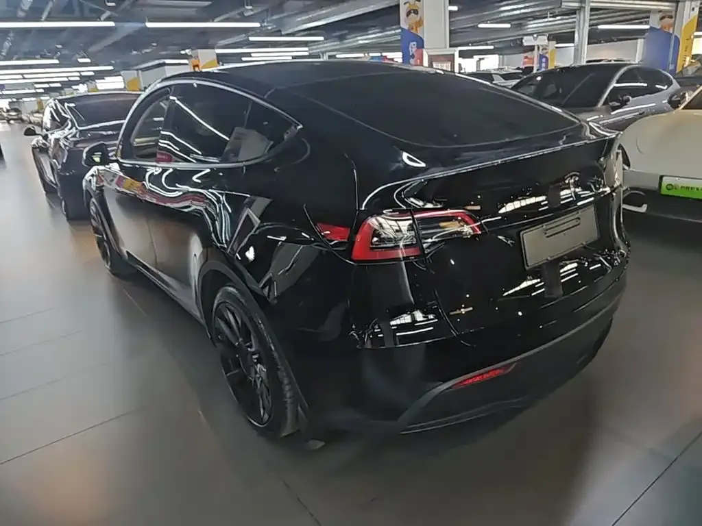Tesla Model Y — фото 10