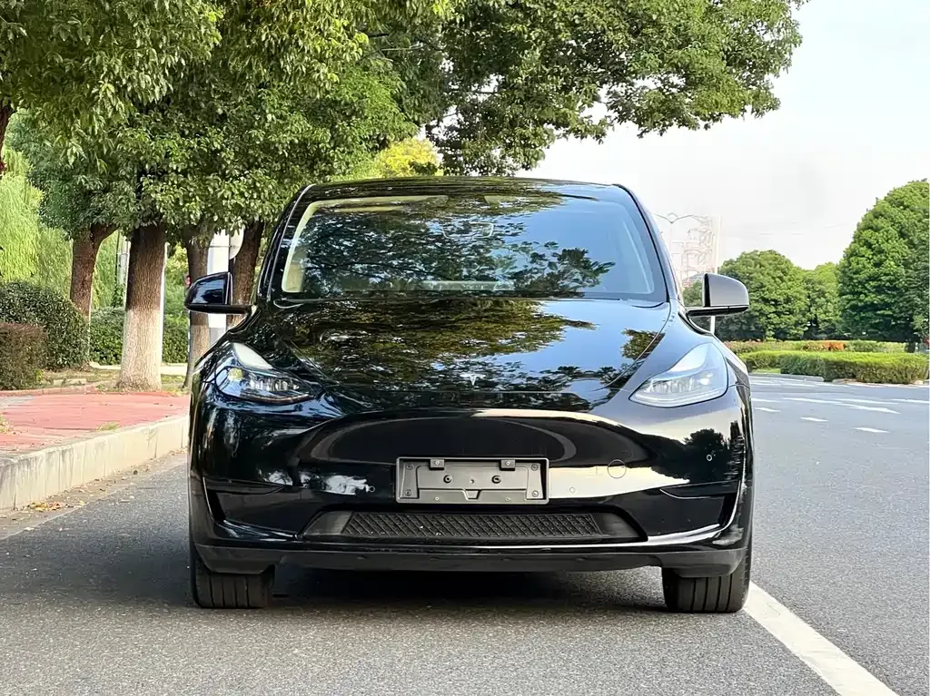 Tesla Model Y — фото 10