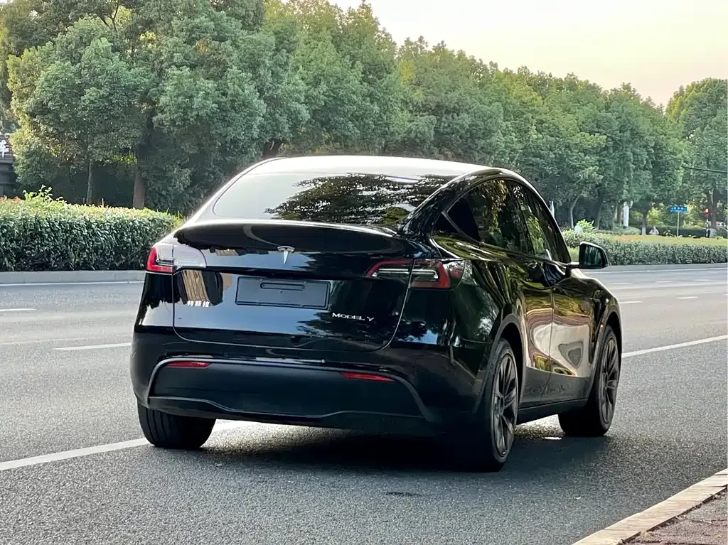 Tesla Model Y — фото 7