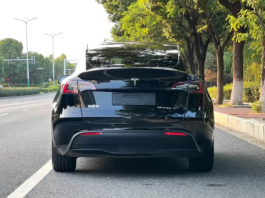 Tesla Model Y — фото 8