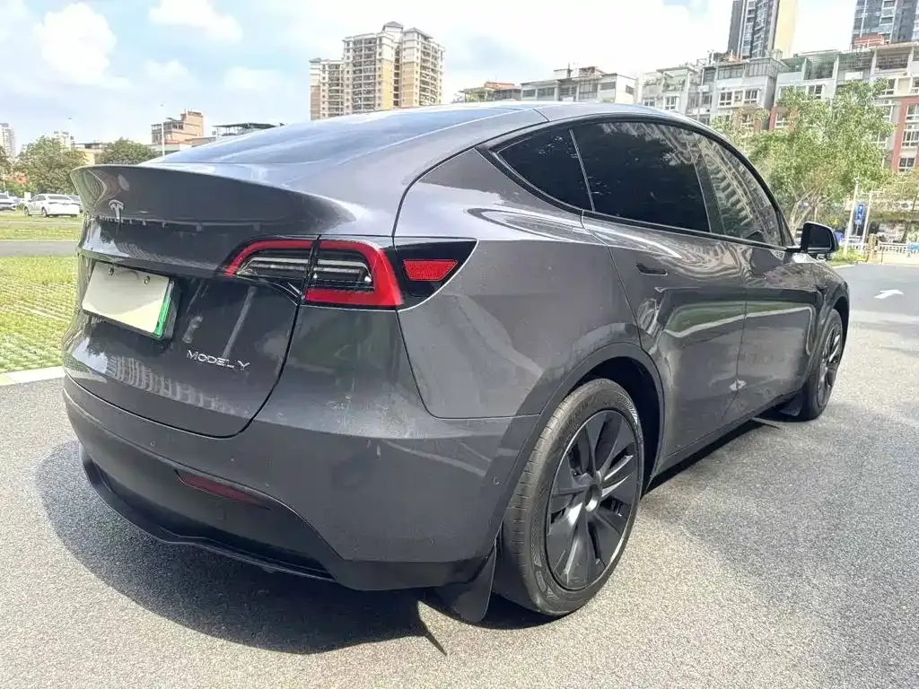 Tesla Model Y — фото 2