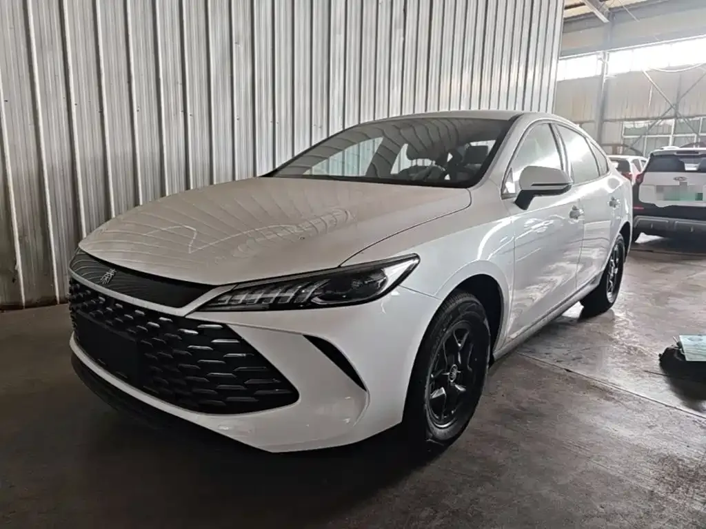 BYD Qin PLUS — фото 1