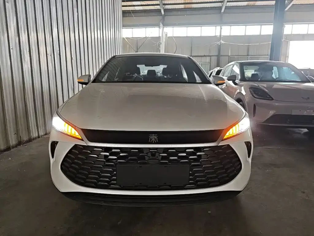 BYD Qin PLUS — фото 6