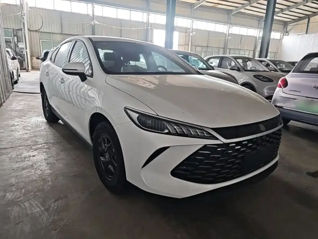 BYD Qin PLUS — фото 5