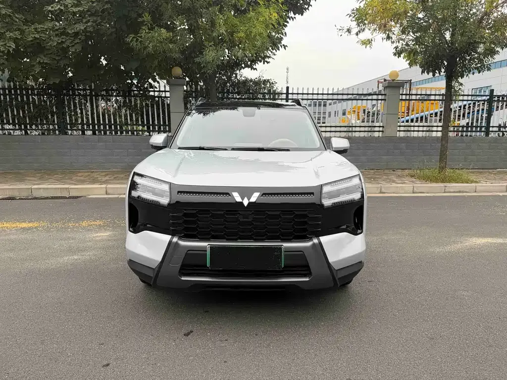 Wuling Xingguang 560 New Energy — фото 6