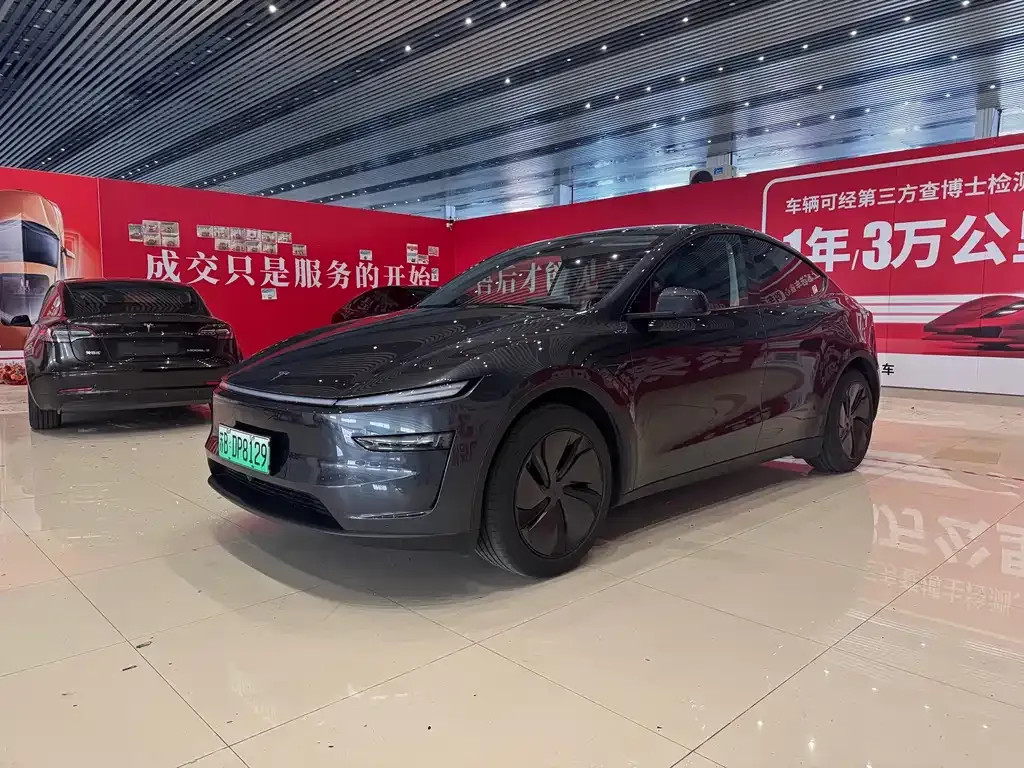 Tesla Model Y — фото 1