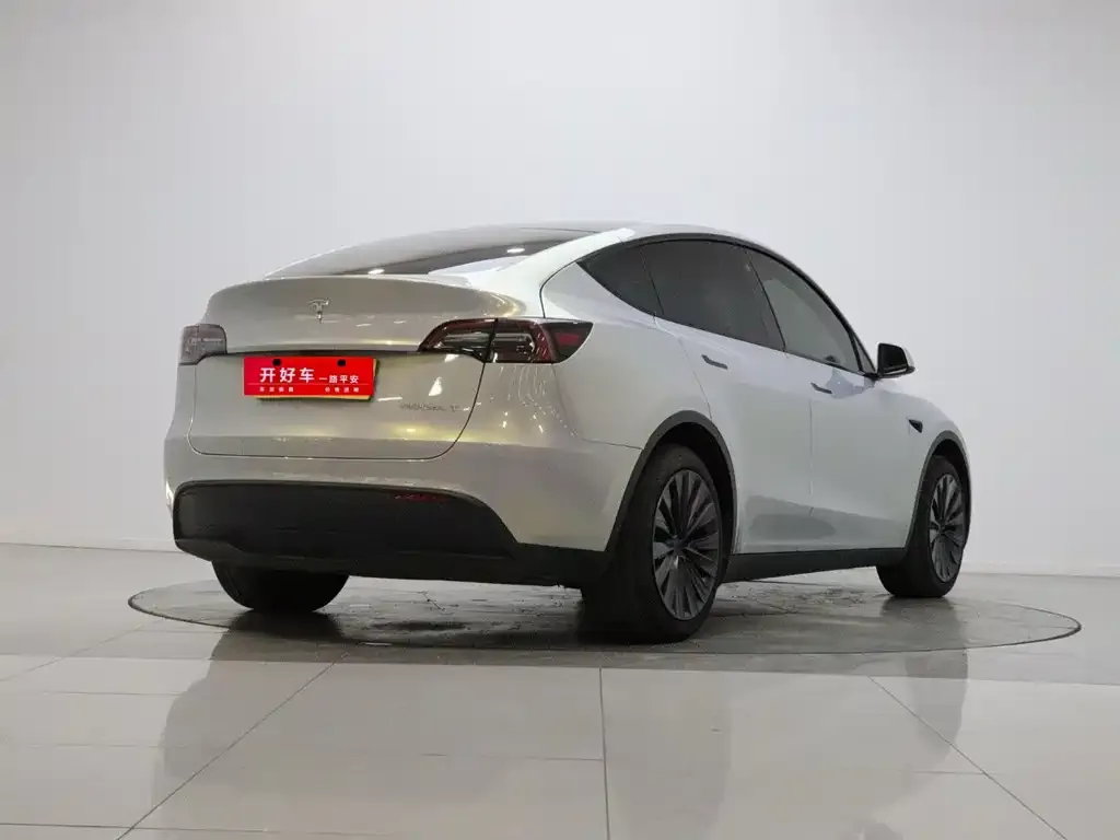 Tesla Model Y — фото 8