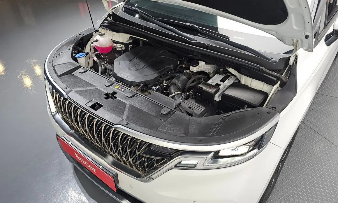 Kia Carnival — фото 10