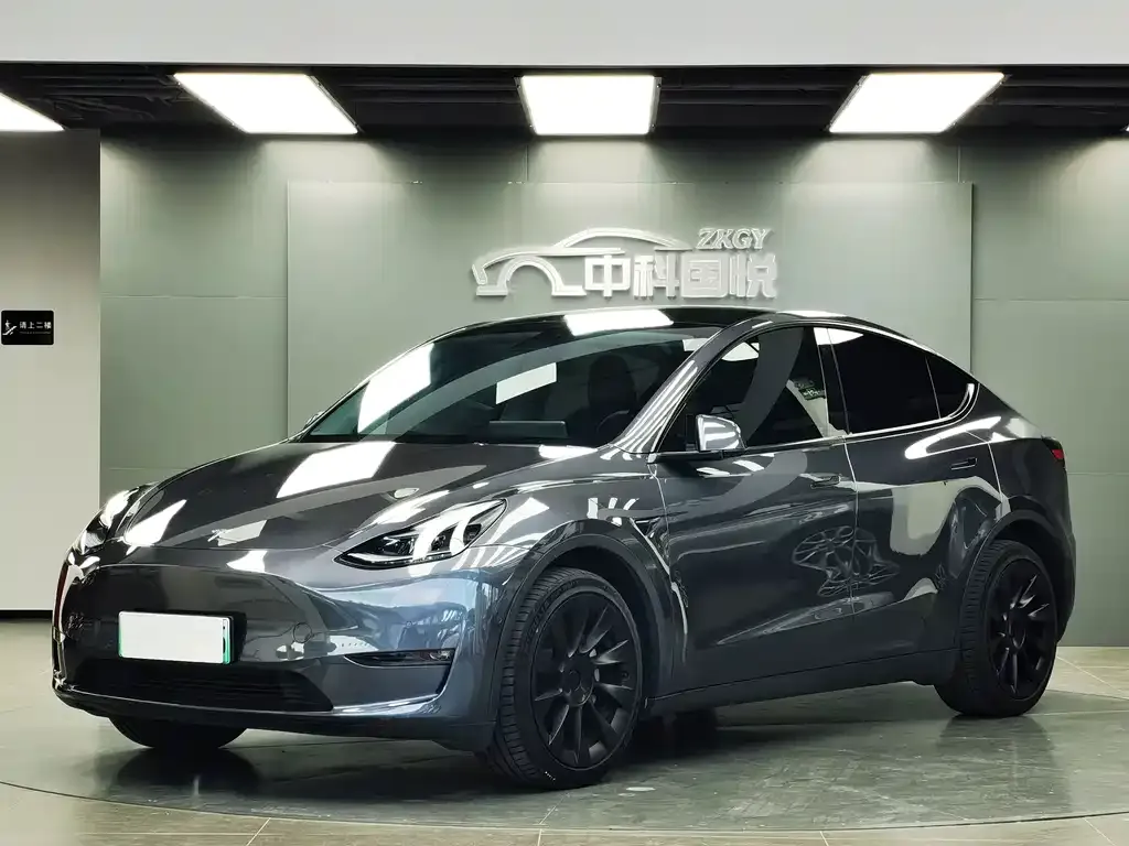 Tesla Model Y — фото 1