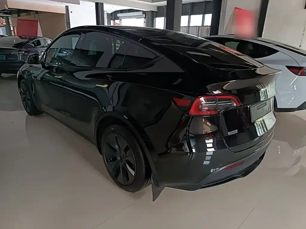 Tesla Model Y — фото 2
