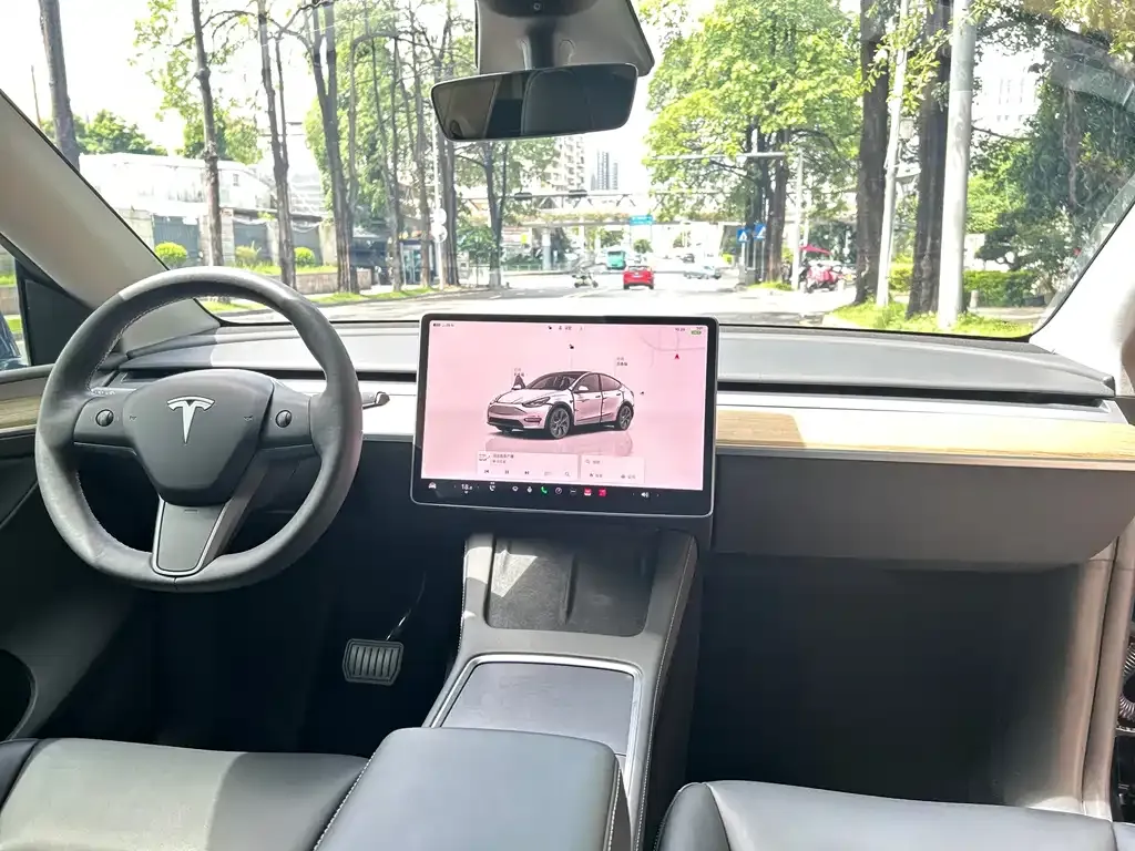 Tesla Model Y — фото 2