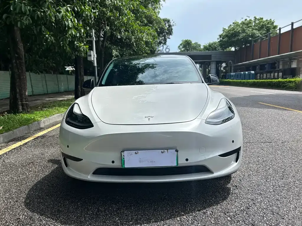 Tesla Model Y — фото 10
