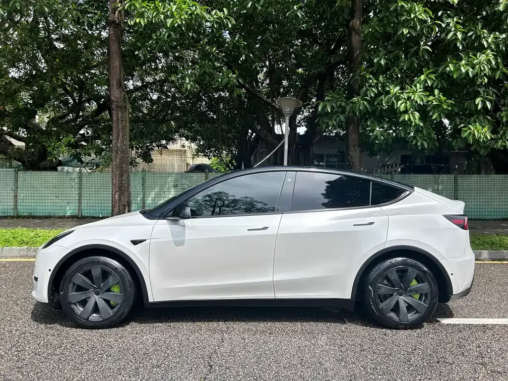 Tesla Model Y — фото 5