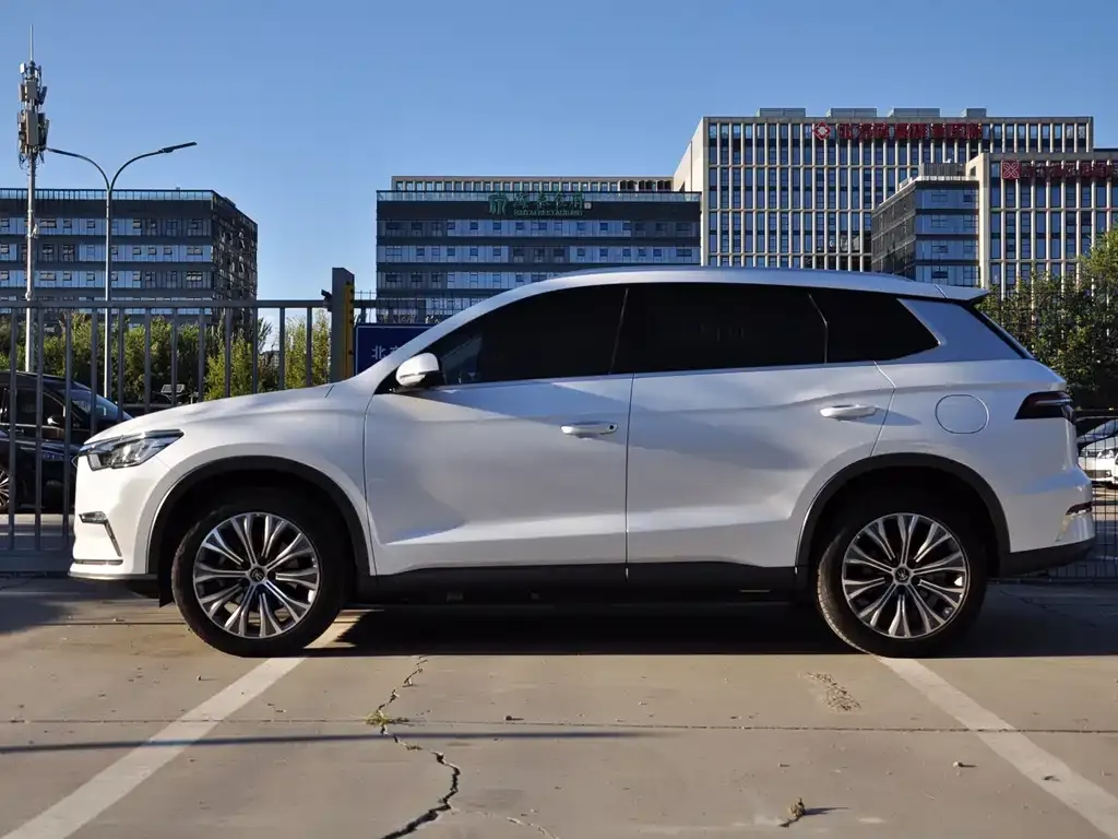 BYD Pro New Energy — фото 8