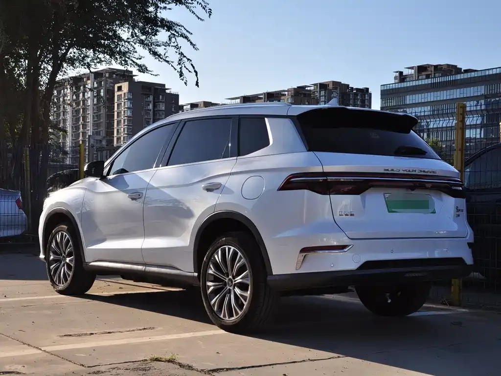 BYD Pro New Energy — фото 9