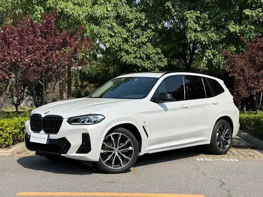 BMW X3 — фото 1