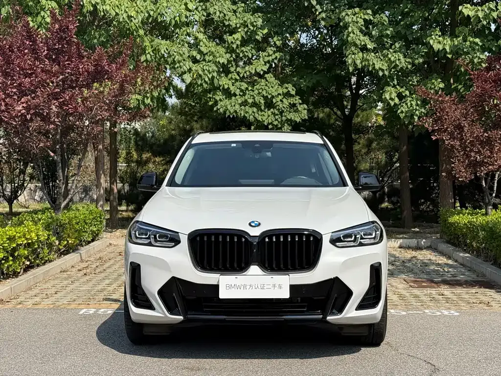 BMW X3 — фото 6