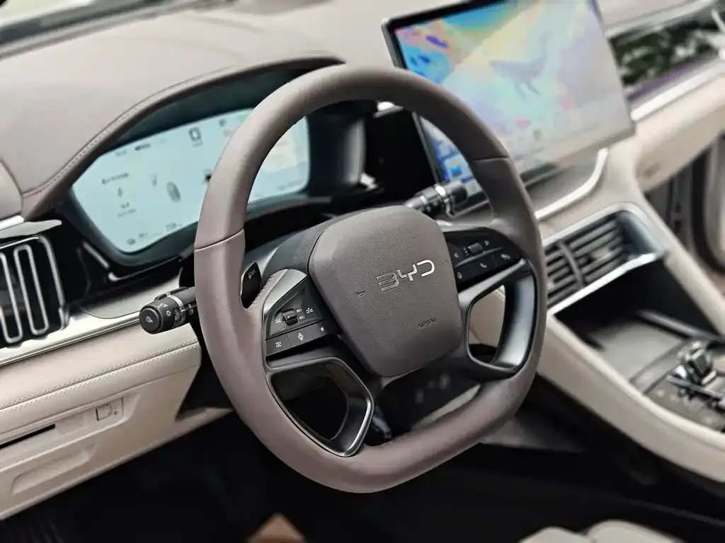 BYD PLUS New Energy — фото 2